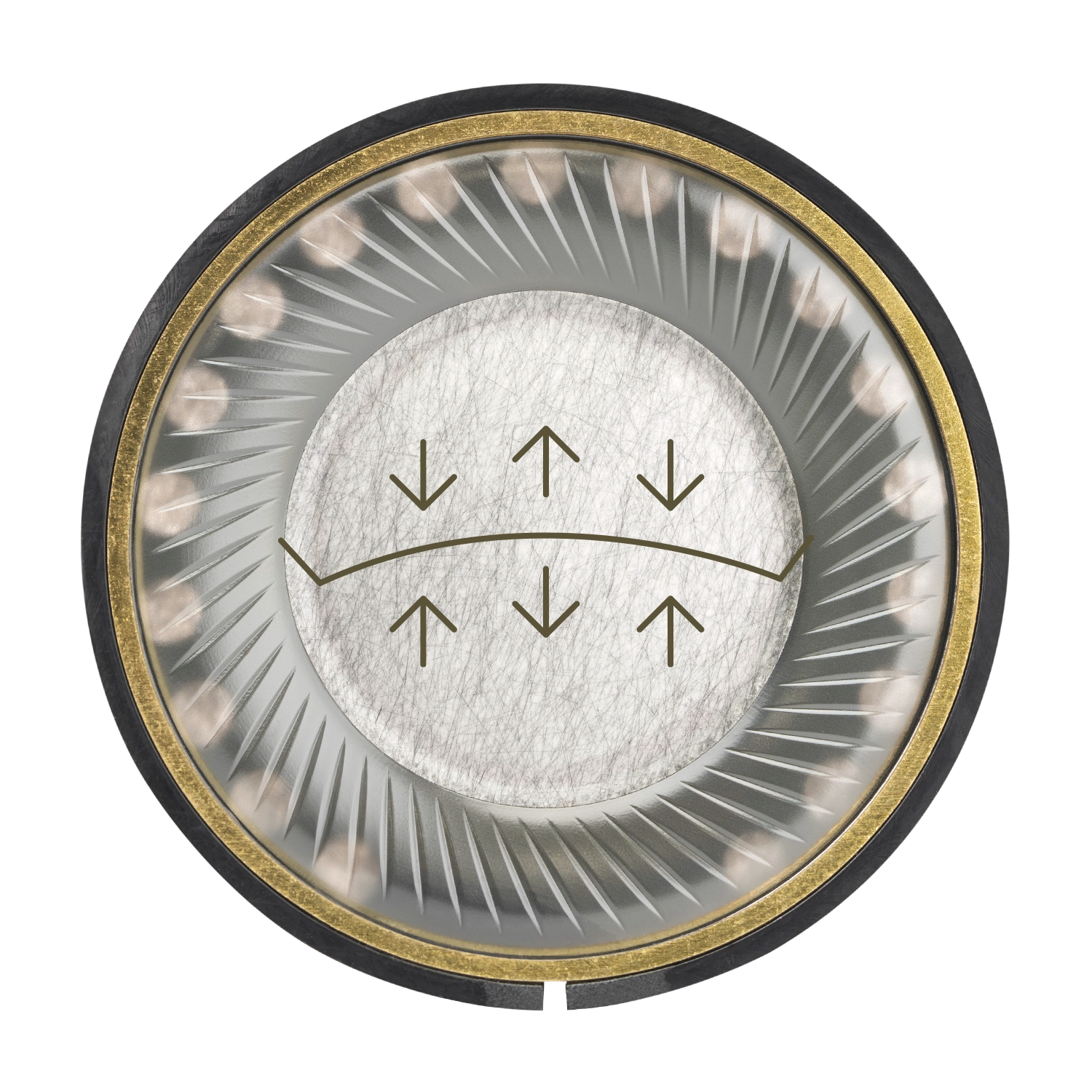 Meze Audio 105 Aer diaphragm